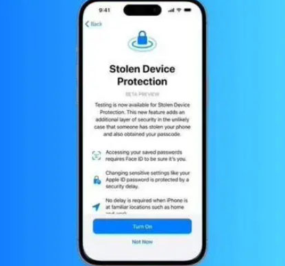 松桃苹果授权维修店分享被盗设备保护功能开启方法 