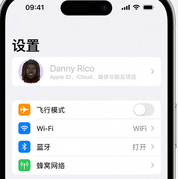 松桃appleID维修服务iPhone设置中Apple ID显示为灰色无法使用 