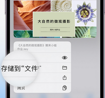 松桃apple维修中心分享iPhone文件应用中存储和找到下载文件