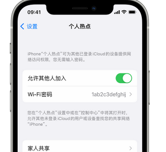 松桃apple服务站点分享iPhone上个人热点丢失了怎么办 