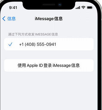 松桃apple维修iPhone上无法正常发送iMessage信息 