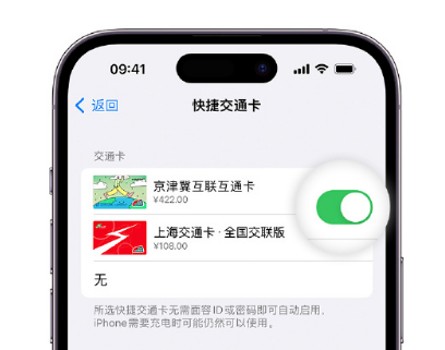 松桃apple维修点分享iPhone上更换Apple Pay快捷交通卡手绘卡面 