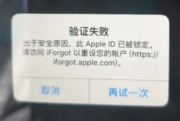 松桃iPhone维修分享iPhone上正常登录或使用AppleID怎么办 