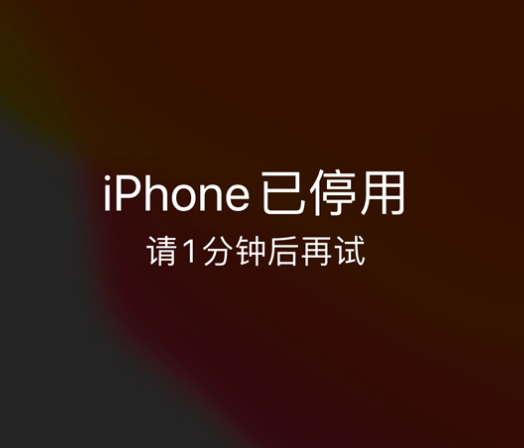 松桃苹果手机维修分享:iPhone 显示“不可用”或“已停用”怎么办？还能保留数据吗？ 