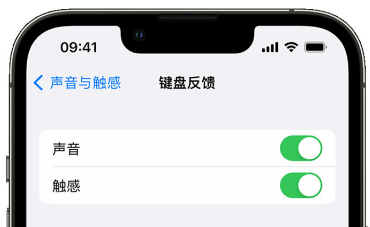 松桃苹果手机维修分享iPhone 14触感键盘使用方法 