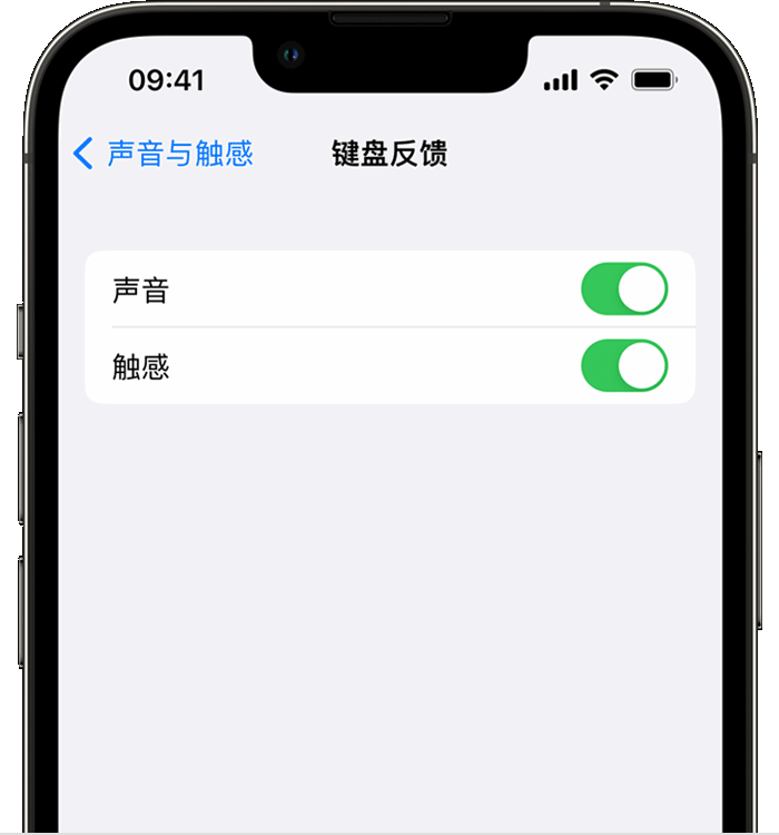 松桃苹果14维修店分享如何在 iPhone 14 机型中使用触感键盘 