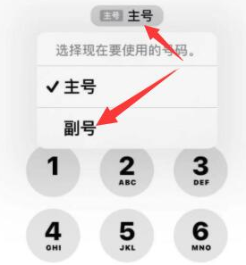 松桃苹果14维修店分享iPhone 14 Pro Max使用副卡打电话的方法 