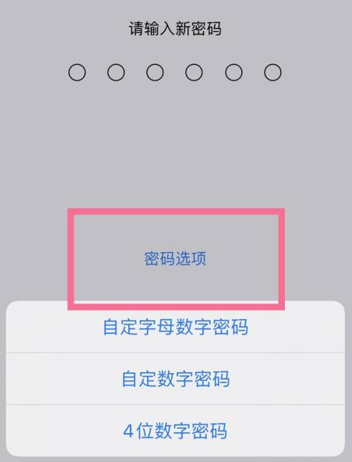 松桃苹果14维修分享iPhone 14plus设置密码的方法 