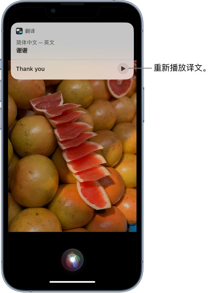 松桃苹果14维修分享 iPhone 14 机型中使用 Siri：了解 Siri 能帮你做什么 