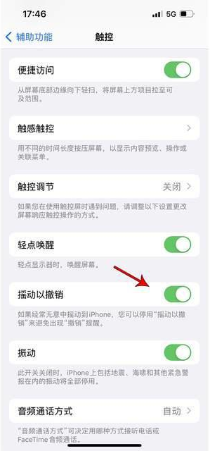 松桃苹果手机维修分享iPhone手机如何设置摇一摇删除文字 